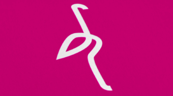 LOGO FLAMENCOS_PORTADA_4